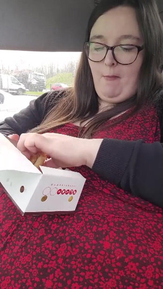 SSBBWLadyBrads: Ultimo pezzo di Burger King