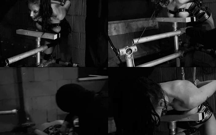 Deutsche Dominanz: Discipline