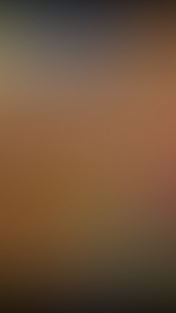 2934946187