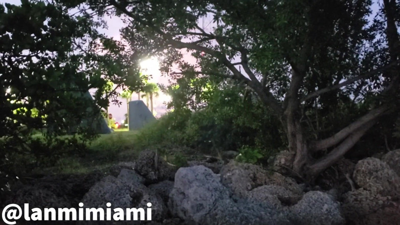 Lanmi Miami: Fratellastro sono stati beccati all'aperto