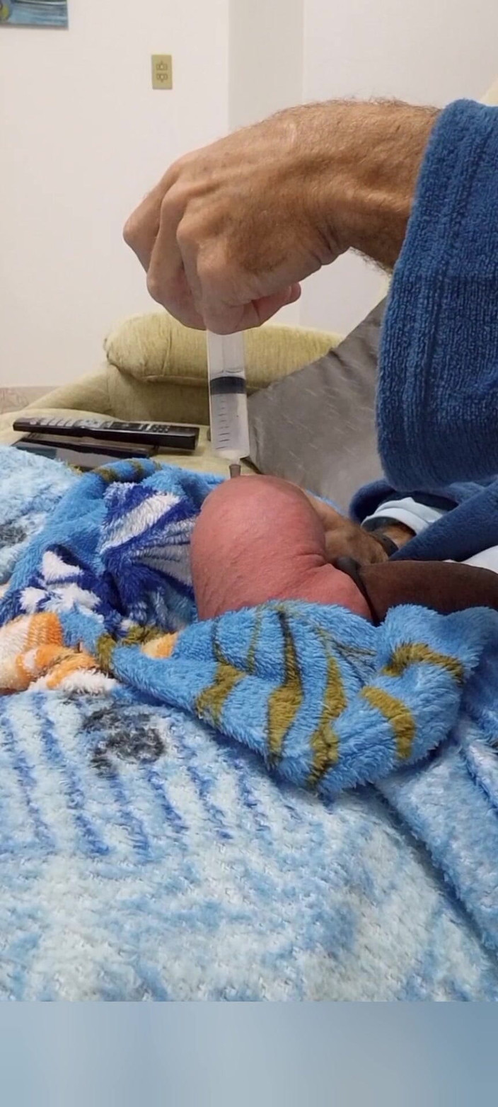 Lion big balls: 각 계란에 60cc 식염수 주사