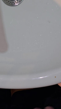 Meando Al Lavabo Del Baño