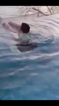 In the Pool