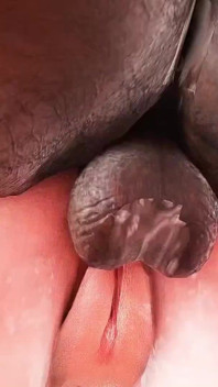 Funy Vids 218