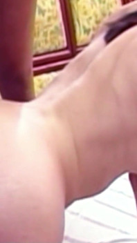 ผู้ชายขนดกสุดๆ โดนเย็ดตูดใน threesome กับทรานนี่นมใหญ่เซ็กซี่