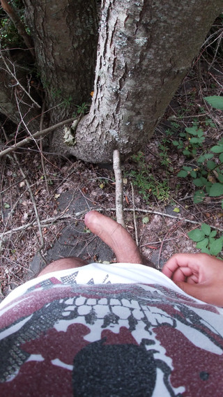 Hardnoisex: Pohled v lese: Sám v spodním prádle, nekontrolovatelně se zahřívá