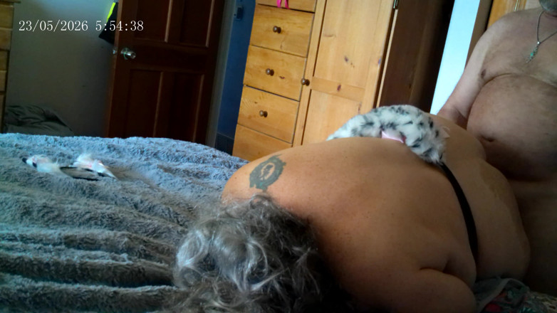 Ramblin Rows: Sculaccia la gattina