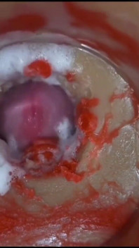 Compilation De Creampies, Partie 1, POV