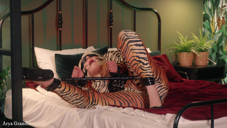 Arya Grander: Devote MILF in spandex