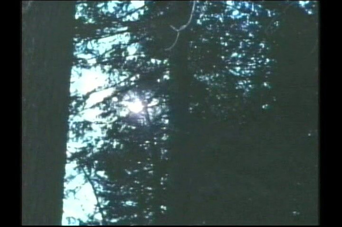 Bisco Birchwood Productions: Děvky mají na výlet!~ Classic USA