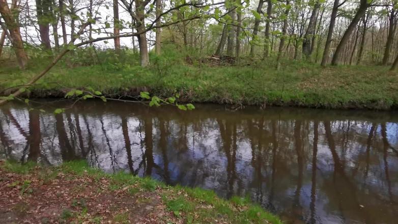 Bouncy Tits Action: Wobble její prsa