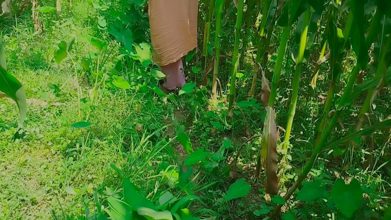 Deshi women: Gaonův desi chudai jungle mein mangal