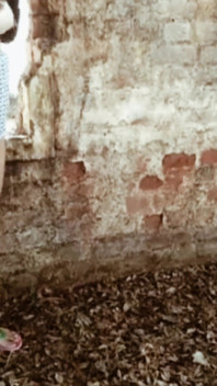 Outdoor indyjskie dziewczyny sex filmy twórców