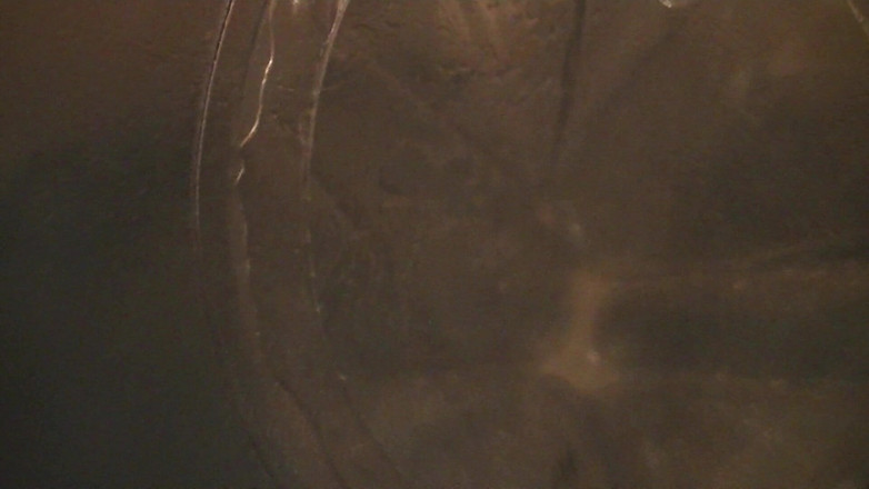 Mark Hannes: Transparent Doll Creampie Fick Masturbation