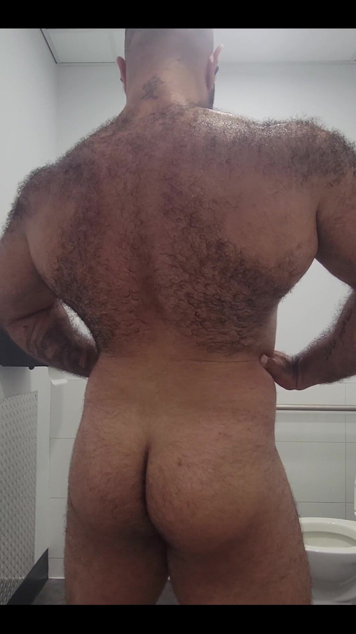 Lobo: Pantatku