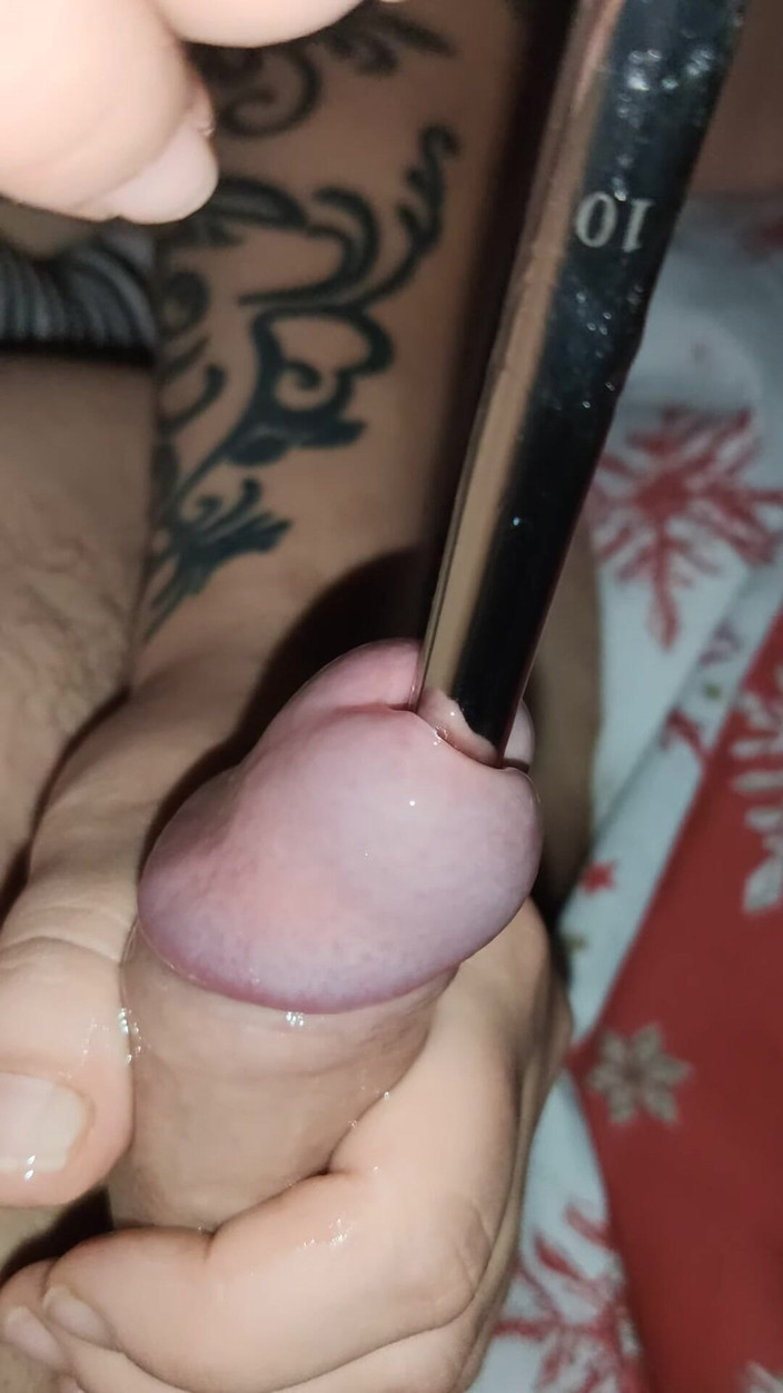 Insertion: Соло Петух