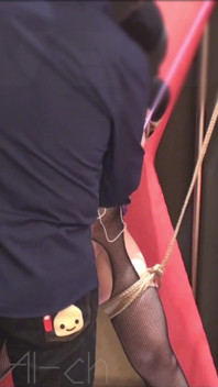 BDSM Training with Anal Hooks and Shibari Bondage Vol.02 (03-)