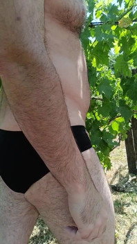 Pula goală în vie