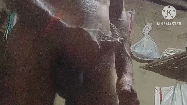 vijay Yadav: Bhabhi geneukt met een penis van 25 cm