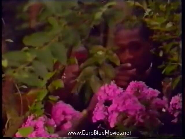 Euro Blue Movies: Sex party aan zee (1993)