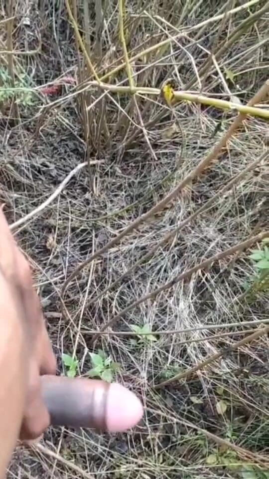 Desi Tits: Outdoor Cumshot Complaition in Jungle