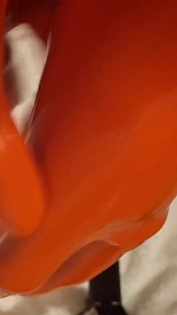 Dream Ofevolutionvip.de Latex Gloves