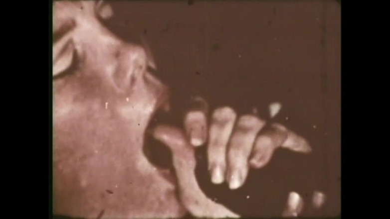 The Unforgettable: Dziki Źrebak