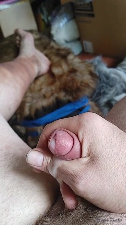 BigManShaman: Tirando de la polla
