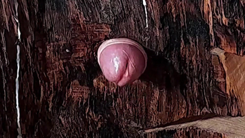 Master Drex: Candlestick for fucking
