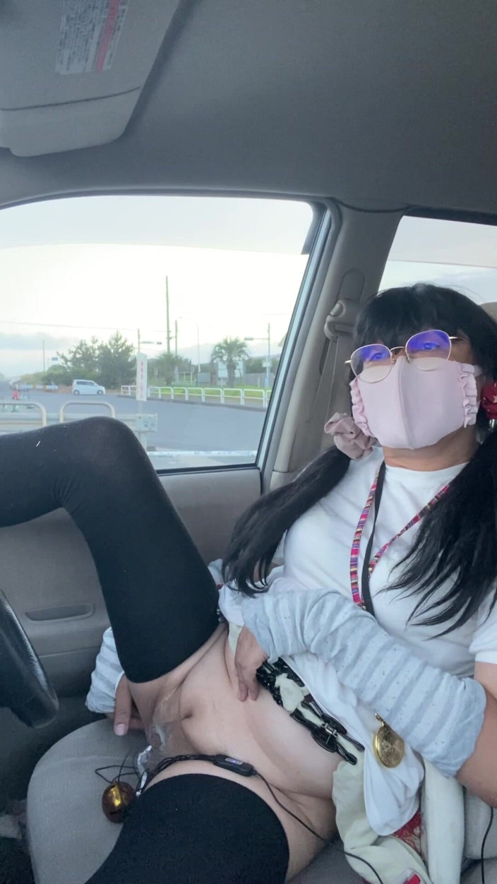 megu2002: N°294 Tuck Drive