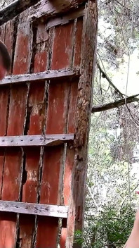 Fitness trainer fucks horny teen Emy in the forest and gives her a cumshot