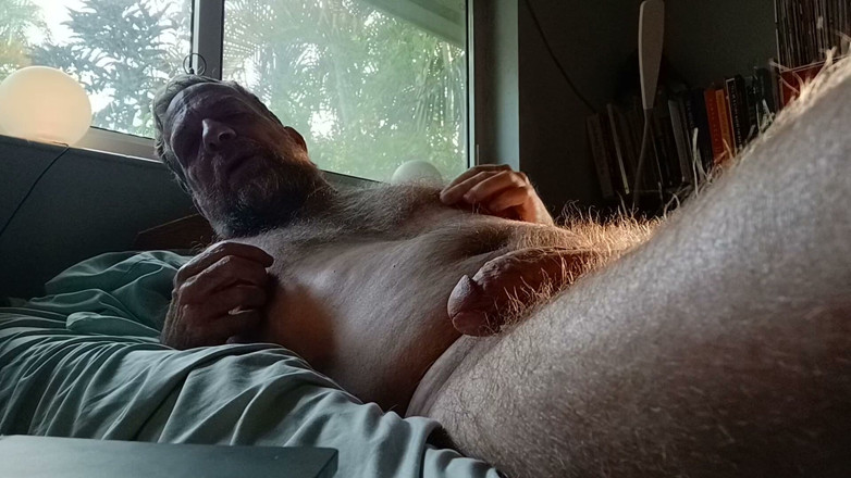Hairyartist: Pencetus Kelonggaran Will