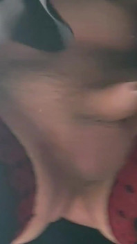 Macham Cock