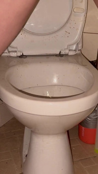 Schmutzigen boden und toilette lecken, blankziehen, kopf drin