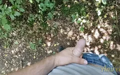 I Found a Place to Cum Outdoors in the Forest