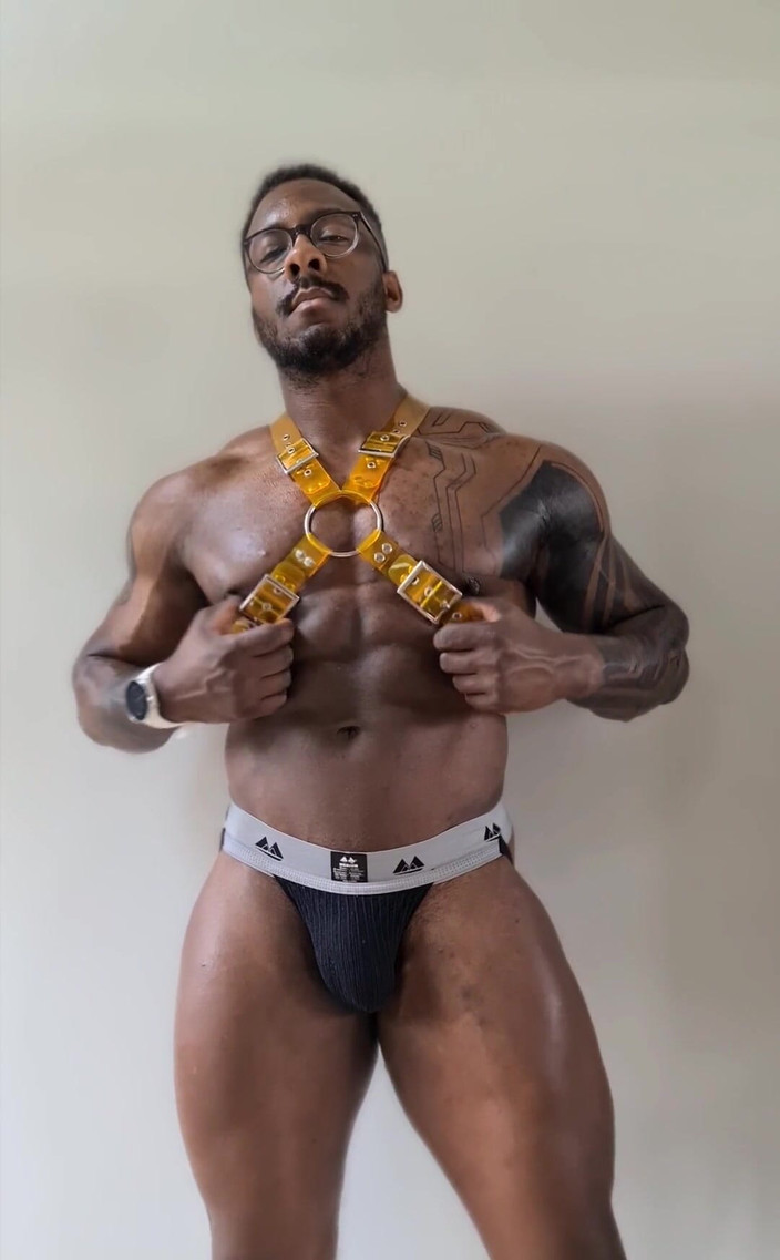 Amadeus: Das neue Harness ist Feuer in Gelb Von #stongpup auf Instagram...