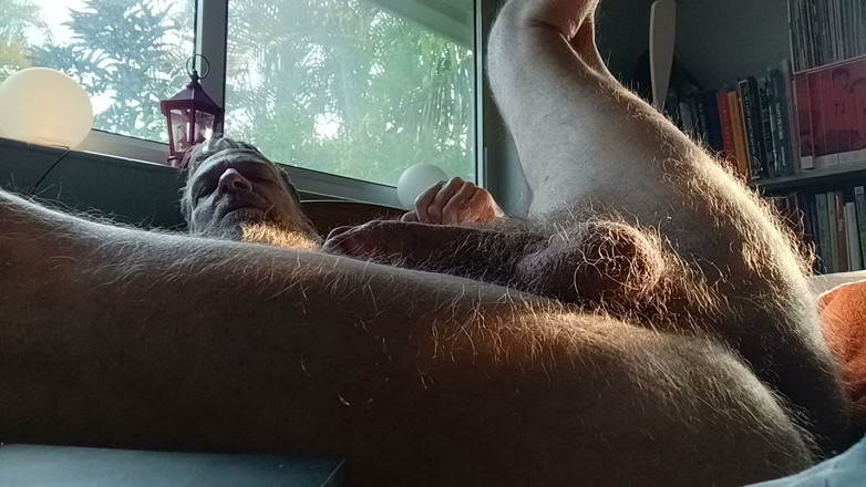Hairyartist: Will's Relaxation Trigger