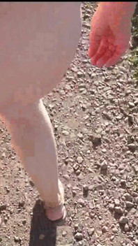 Naturist Walk on the Forest