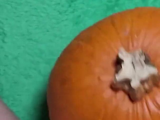 I Fuck a Wet Pussy and a Pumpkin. What Is Better (Petite Teen)