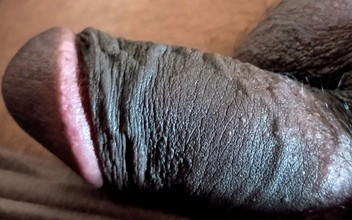 Pricillanancy: Indian Black Cock