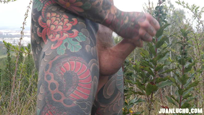 Juan Lucho Gay: Corrida En El Bosque