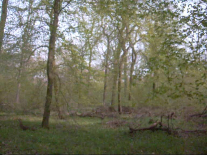 Blondehexe: Selvagem foda depois de ser pega se masturbando