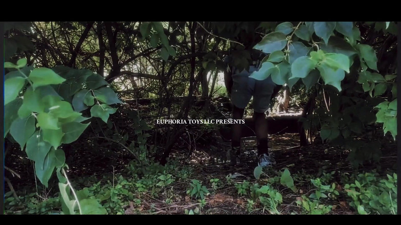 Boy Wonder: 3987809160.mp4