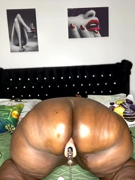 Legendary Booty Overdose: Chcę zerżnąć kilka orzechów