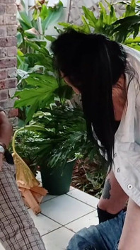 Berkebun