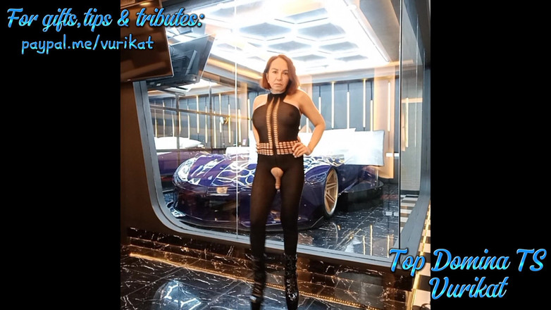 Vurikat: Es-tu prêt pour moi ? Lubrure !