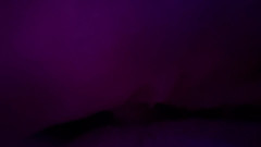 Mia Rae Fox: Weckruf: Tief, Unordentlich Und Gehorsam