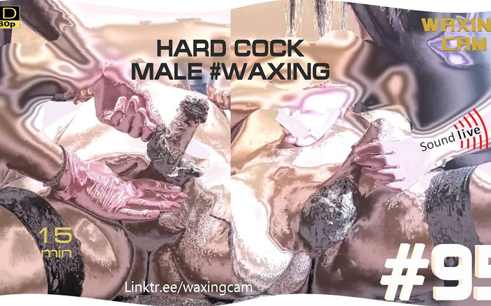 WaxingCam: #95 ハードコック男性ワックスがけ