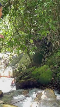 Tôi đi vào một cuộc phiêu lưu vào rừng với chị kế nhút nhát của tôi và cuối cùng tôi đã đụ cô ấy mạnh bạo và xuất tinh mạnh trong miệng cô ấy