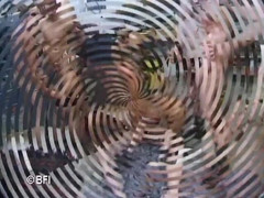 Porn mansion: Foda de férias